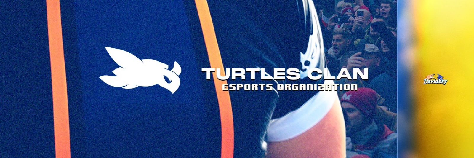 Identidad visual de Turtles Clan